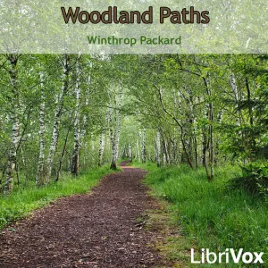 Woodland Paths