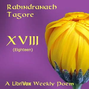 XVIII