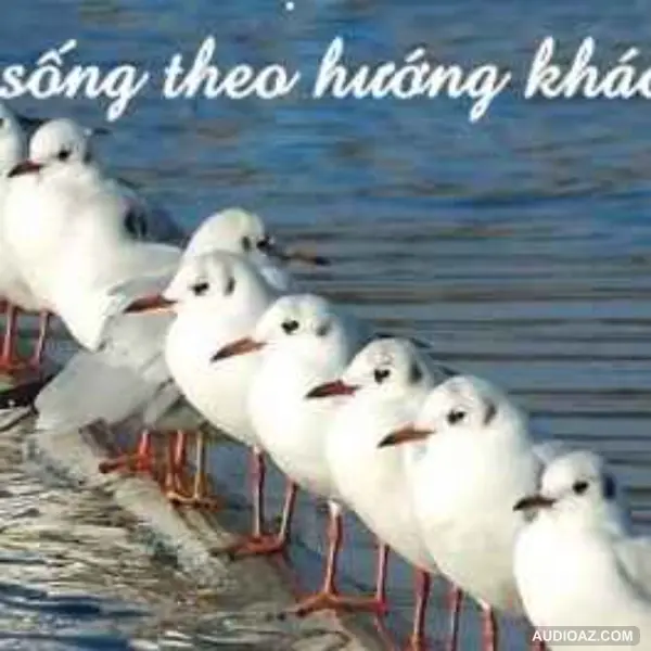 Giữa sóng cả hãy vững niềm tin