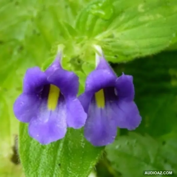 Chị dâu em chồng - mối quan hệ sao khó bền?