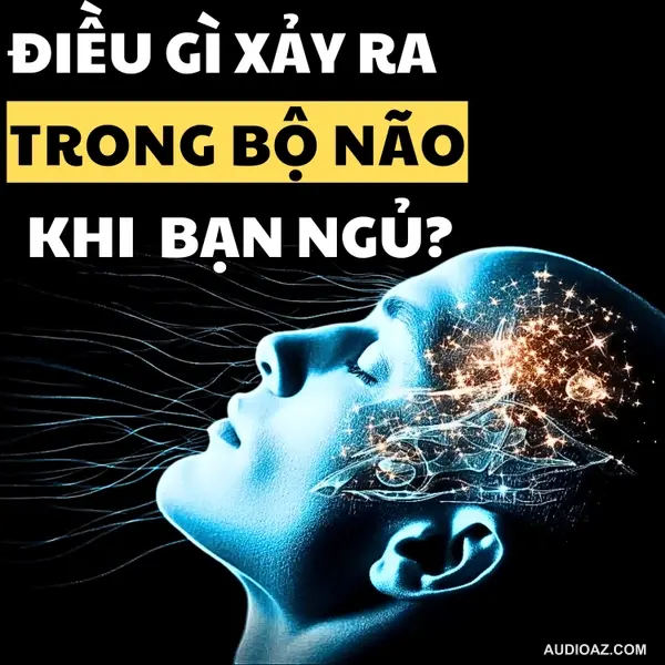 19. Bộ Não Làm Việc Cật Lực Ra Sao Khi Ta Ngủ? Câu Trả Lời Sẽ Khiến Bạn Kinh Ngạc! | Inner World Podcast