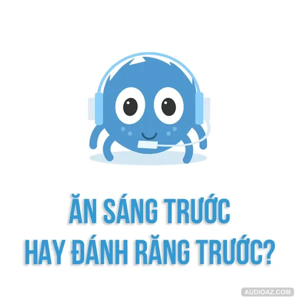 ĂN SÁNG TRƯỚC hay ĐÁNH RĂNG TRƯỚC? | SPIDERUM | nein nein nein | Kiến thức cuộc sống