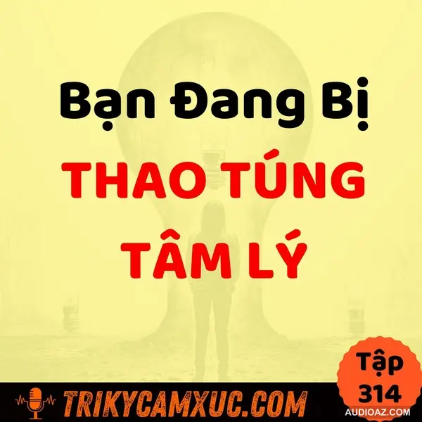 Bạn Đang Bị Thao Túng Tâm Lý Trên Mạng -Tri Kỷ Cảm Xúc #314